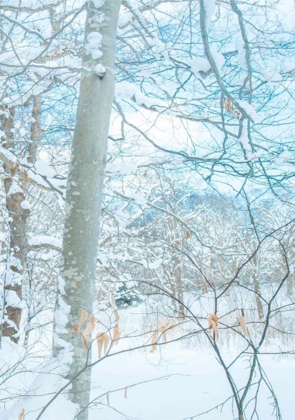 Whoseman-10-犬系男孩-安東尼-北海道特別企劃